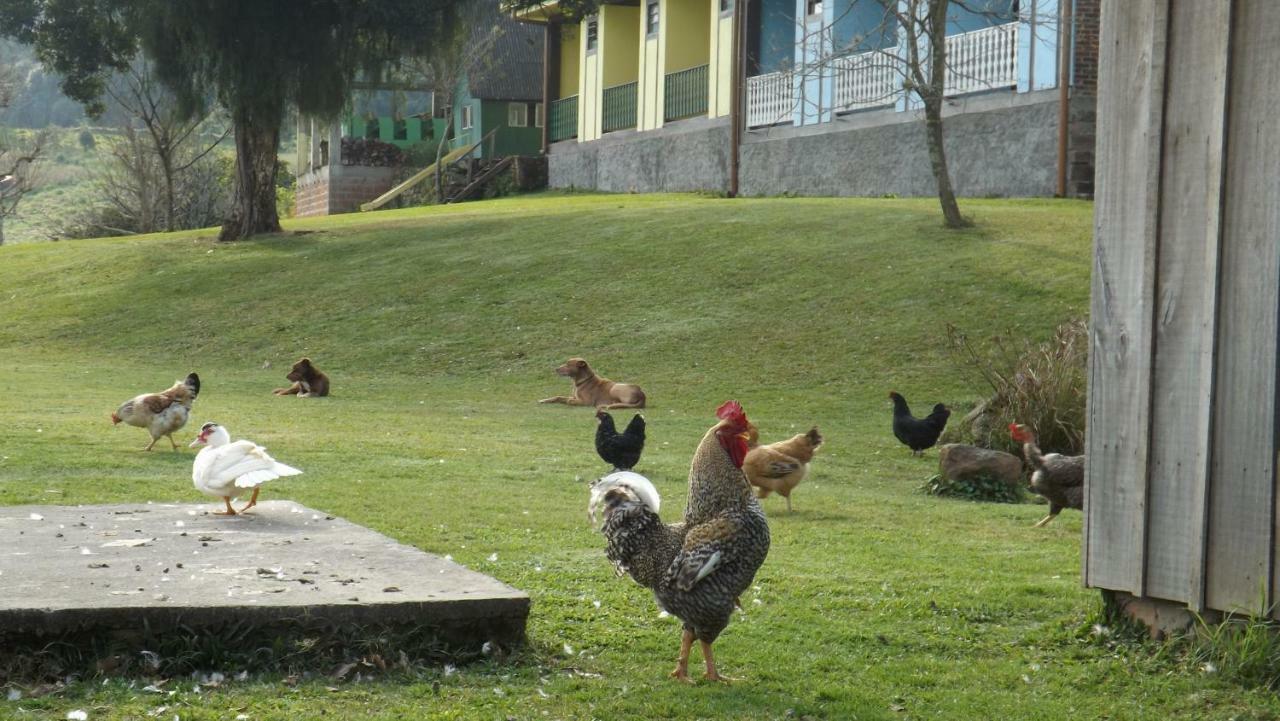 Recanto Dos Pioneiros Nova Petropolis Bagian luar foto